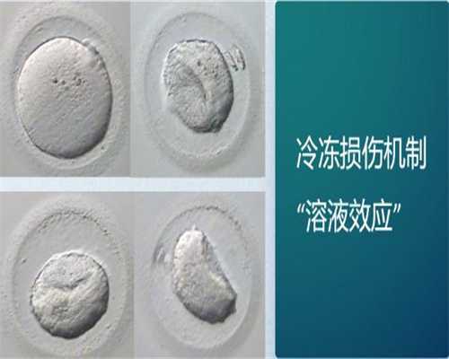 壮阳药对精子质量有影响吗-三代试管助孕