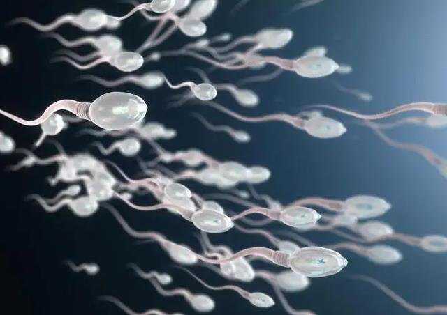 试管婴儿是双胞胎还是龙凤胎_供精试管是一代还是二代养成的胚胎多_花费动辄